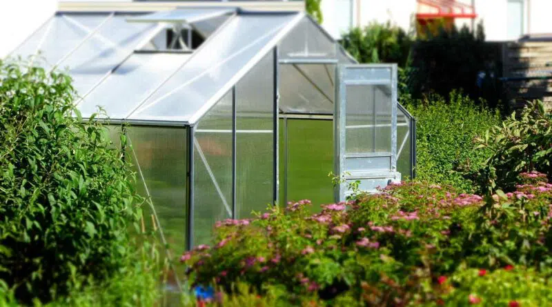 Ein Gewächshaus mitten im Garten.