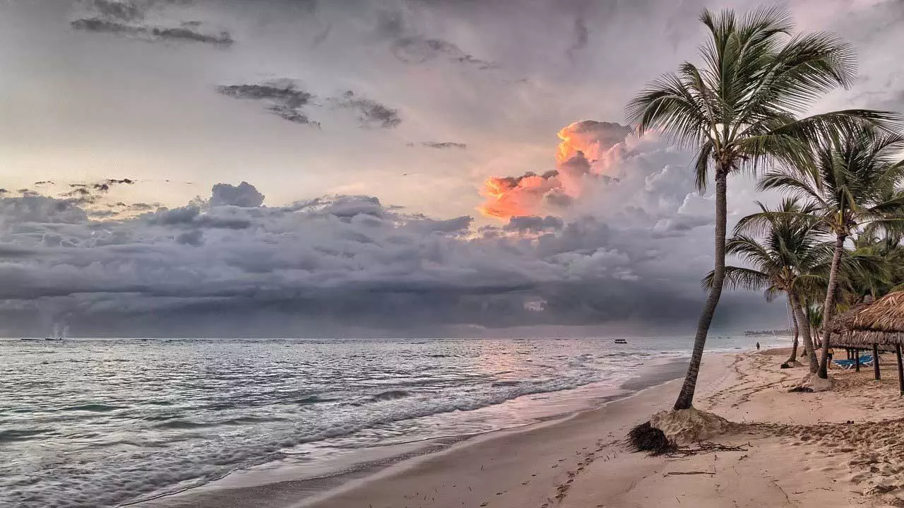 Ein Strand mit Palmen und bewölktem Himmel.