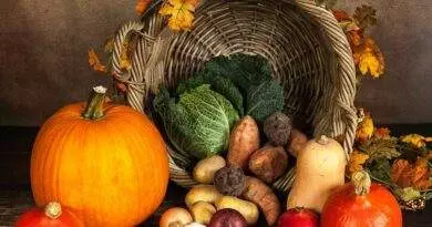 Ein Korb voller Gemüse und Kürbisse auf einem Holztisch.