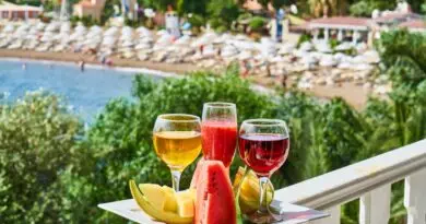 Zwei Gläser Wassermelonensaft und Obst auf einem Balkon mit Blick auf den Strand.