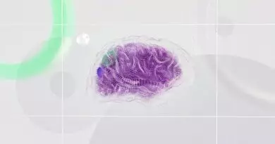 Ein Bild eines lila Gehirns auf weißem Hintergrund.