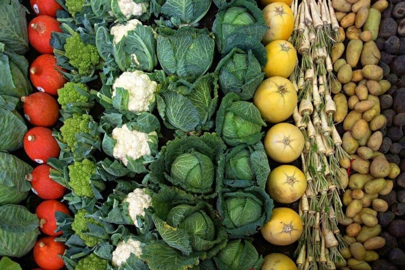 Verschiedene Obst- und Gemüsesorten werden in einer Reihe angeordnet und ergeben so ein optisch ansprechendes Herbstgericht.