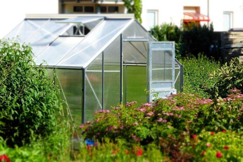 Ein Gewächshaus mitten im Garten.